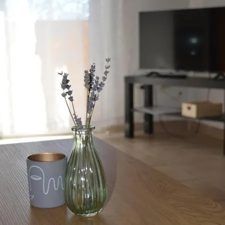 Apartman Central Apartments Preko Preko