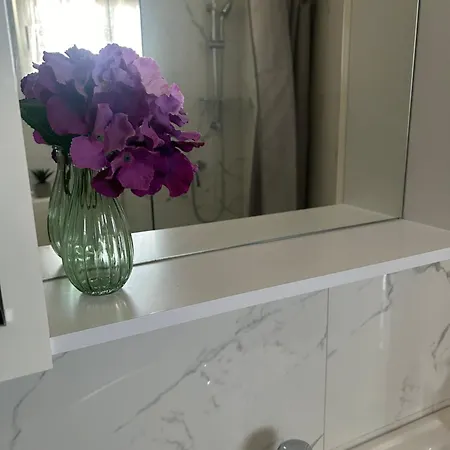 Central Apartments Preko