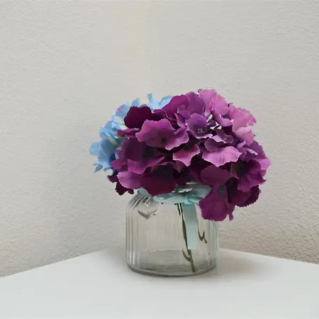 Apartmán Central Apartments Preko *