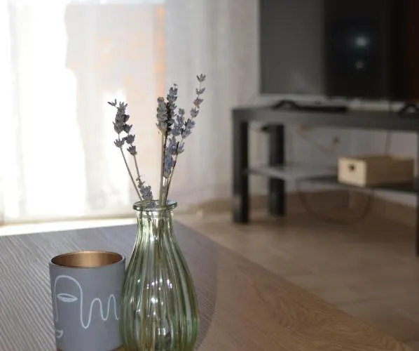 شقة Central Apartments Preko بريكو