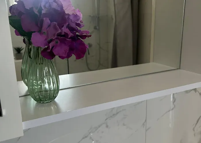 Central Apartments Preko